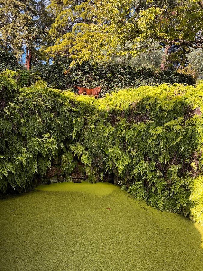 Вілла Quinta Da Porta - Solar De Vale De Prazeres Екстер'єр фото