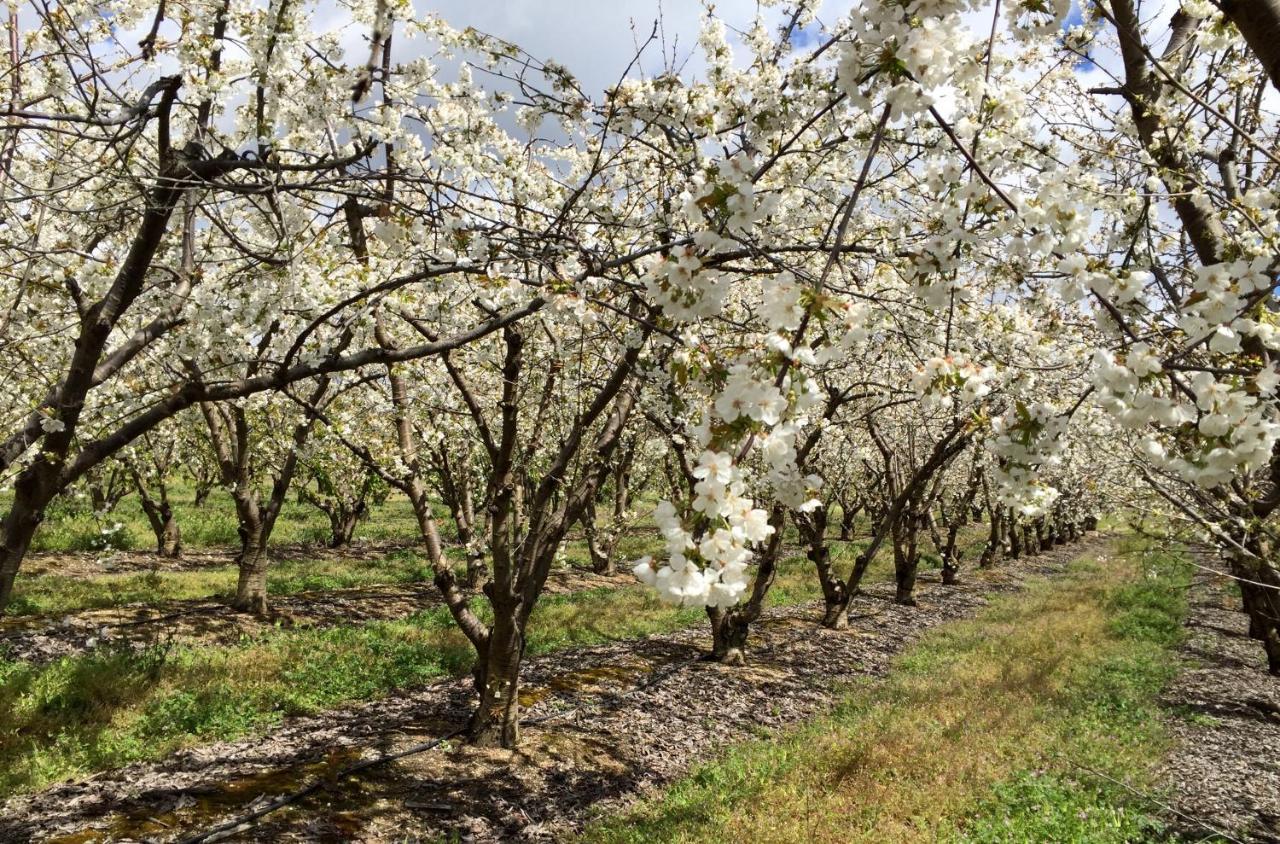Вілла Quinta Da Porta - Solar De Vale De Prazeres Екстер'єр фото