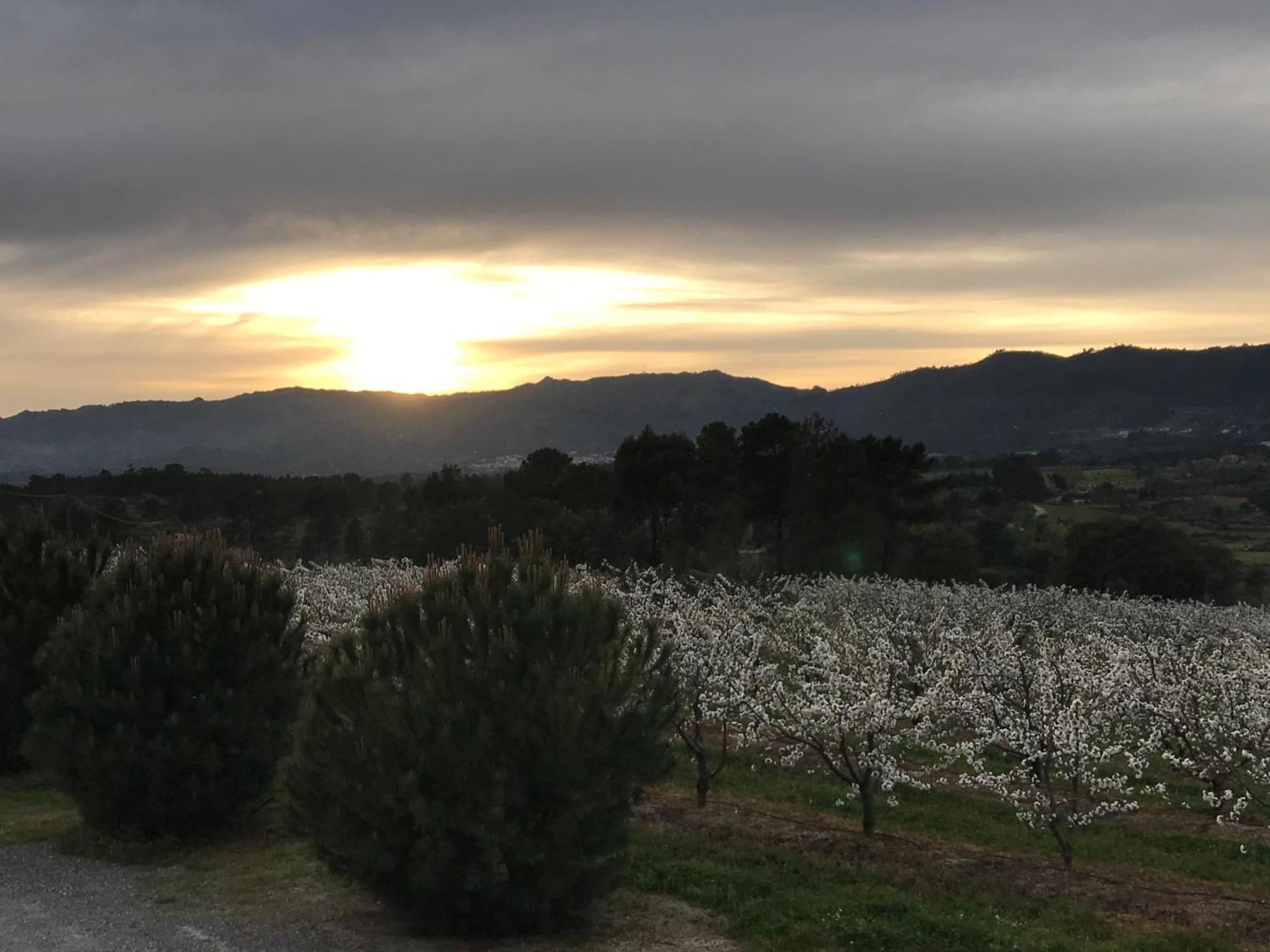 Вілла Quinta Da Porta - Solar De Vale De Prazeres Екстер'єр фото