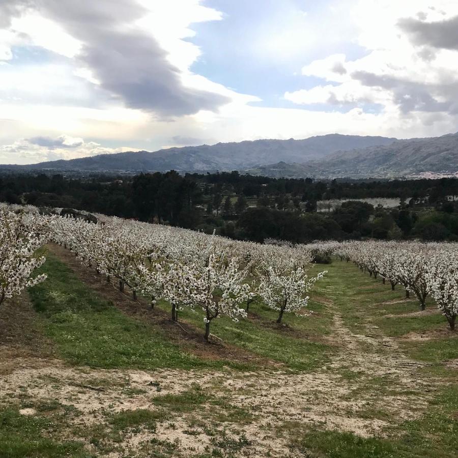 Вілла Quinta Da Porta - Solar De Vale De Prazeres Екстер'єр фото