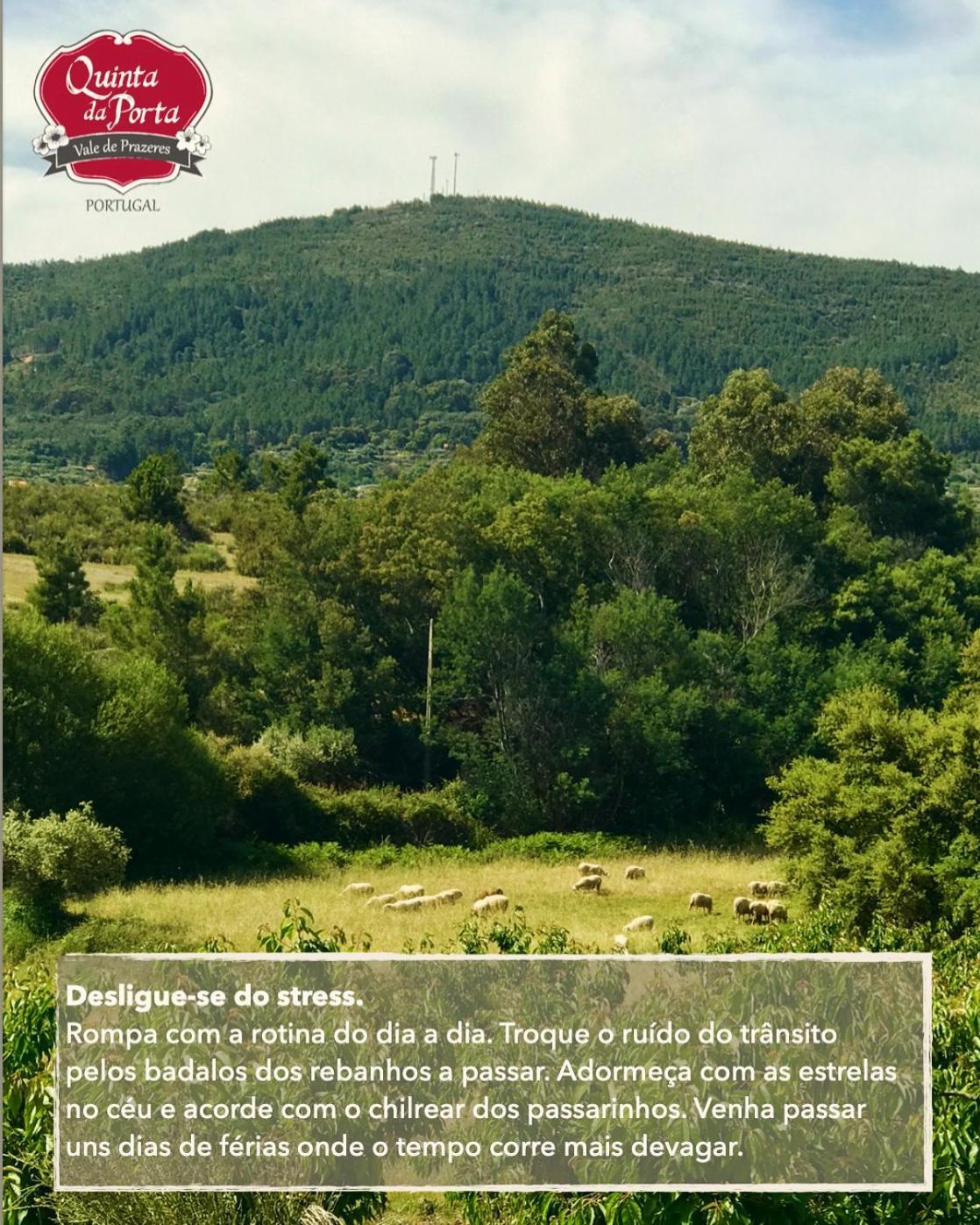 Вілла Quinta Da Porta - Solar De Vale De Prazeres Екстер'єр фото